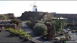 Lanzarote Cactus Garden part 1  Costa Serena Excursion [upl. by Rhodie]