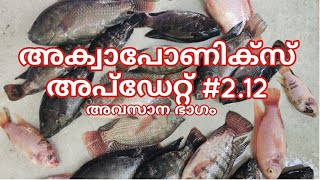 അക്വാപോണിക്‌സ് അപ്ഡേറ്റ് 212  aquaponics malayalam  hydroponics  fish farming [upl. by Statis]