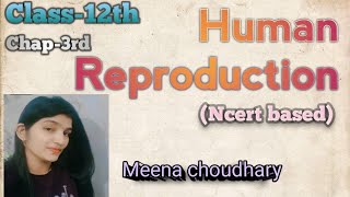 Male reproductive system Human Reproduction  part1class12thviral youtubevideos trending [upl. by Bolanger]