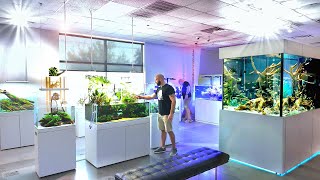 Fish Tanks Like Youve NEVER SEEN Before INSANE Aquarium Store Tour ADG Texas [upl. by Aratehs747]