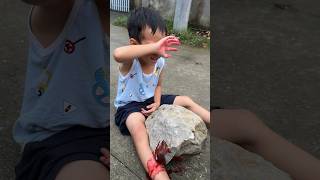 The boy was saved from being crushed by a rock by the dogLovedog dog pet [upl. by Tedra]