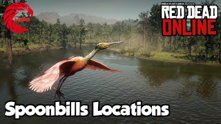 Spoonbills Locations rdr2 Online  Red Dead Online Spoonbills Location Guide [upl. by Oniuqa]