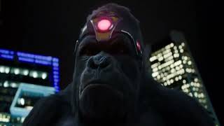 AMV  King Shark VS Gorilla Grodd  Animal in me [upl. by Gnat]