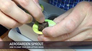 AeroGarden DIY  How to start your own lettuce seeds [upl. by Soneson]