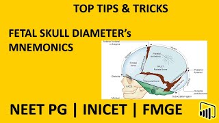 Fetal Skull Diameters  Mnemonics  INICET  NEETPG  FMGE [upl. by Kciredes]