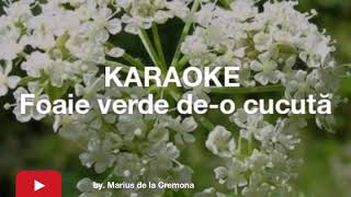 Foaie verde deo cucută LAm  KARAOKE [upl. by Thill]