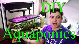 DIY AQUAPONICS System for 10 Gallon Fish Tank  Part 1 [upl. by Eelytsirk884]