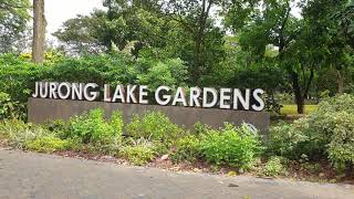 jurong lake garden [upl. by Aiuqes]