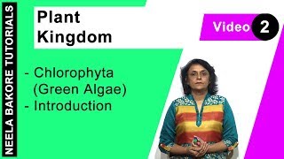 Plant Kingdom  NEET  Chlorophyta Green Algae  Introduction  Neela Bakore Tutorials [upl. by Ulphiah778]