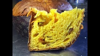 Panettone agrumi ricetta Maestro Alfonso Pepe  Primo impasto lievito madre [upl. by Kcaj846]