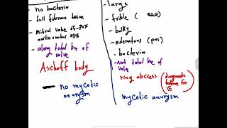 Pathology CVS4  Infective endocarditis AlAmeed university [upl. by Dubenko]