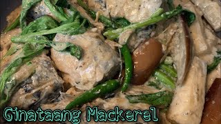 GINATAANG MACKEREL  MACKEREL WITH COCONUT MILK  MACKEREL RECIPE [upl. by Kathrine]