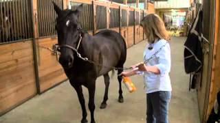 Absorbine Veterinary Liniment  Treat Lameness In Horses [upl. by Innek]