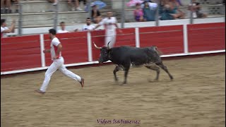 Concurso de anillas Zuera Zaragoza – 29082024  Asier Estarriaga y Edgar Teixeira  FINAL  HD [upl. by Alag]