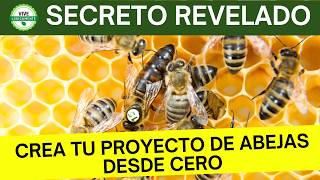 Cómo Empezar tu Propio Proyecto de Abejas Paso a Paso [upl. by Ailicec]