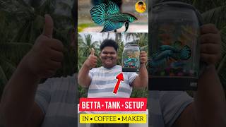 BETTA FISH 🐠 TANK SETUP IN COFFEE MAKER ☕ DIY  jeelanivlogger aquarium tanksetup [upl. by Cari353]