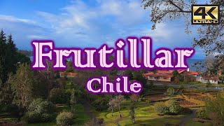 Turismo en FRUTILLAR – CHILE ¿Qué visitar 4K [upl. by Elleiand648]