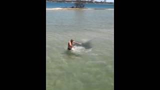 Stingray attack on Gold Coast in Australia [upl. by Durno]