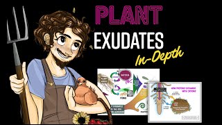 Plant Exudates InDepth with Matt Powers  a Regenerative Soil excerpt [upl. by Siderf]