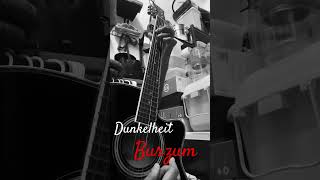 Dunkelheit  BURZUM  Acoustic cover [upl. by Ahsikat]