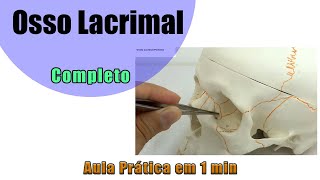 Osso Lacrimal  Prática Aula 2  Anatomia  Anatomia Humana [upl. by Sirenay]