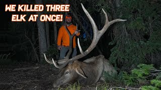 Mindblowing TRIPBULL Colorado Elk Adventure [upl. by Jamison156]