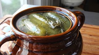 Homemade Dill Pickles  How to Make Naturally Fermented Pickles [upl. by Annovahs434]