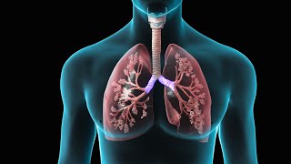 Spirometry  Test for Lung Function  Nucleus Health [upl. by Fuhrman]