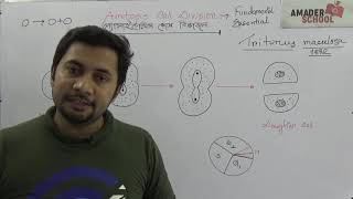 Amitosis Cell Division  অ্যামাইটোসিস কোষ বিভাজন ।। HSC Botany Chapter 3 [upl. by Tertius261]