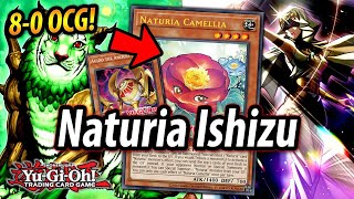 Its 2022 and Naturia is part of TIER 0 Naturia Ishizu DECK TESTING [upl. by Thay821]