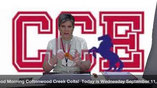 Cottonwood Creek CCNN Live Stream [upl. by Eimmit]