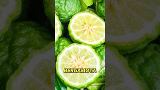 5 beneficios sorprendentes de AE de bergamota 🍃 [upl. by Mavra745]