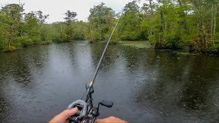 Team TOURNAMENT on ROANOKE RIVER NO FFS USED [upl. by Kosel]