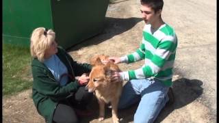 Orphans of the Storm promo videoKittanning High School Talent Show May 2 2013 [upl. by Goldstein]