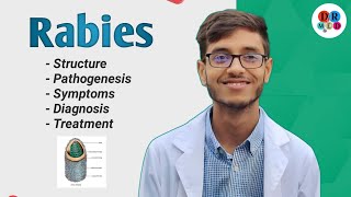 Rabies virus  Management of a dog bite  Community medicine  Microbiology bangla lecture [upl. by Adnahsar844]