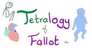 Tetralogy of Fallot TOF  Cyanotic Congenital Heart Disease CHD  Cardiology 🫀 [upl. by Ronald]