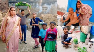 गोलू 👦 की अनुपस्थति में गोल्डी 👧 बाजार में पालक बथुआ मेथी सरसों लेकर जाएगी बेचने के लिए ☘️🌿🌱 [upl. by Nosduj]