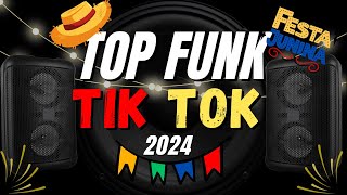 🎉TOP FUNK 2024  💥🎉 OS MELHORES FUNK MAIS TOCADOS TIK TOK 2024  💥 AS TOPS FUNK DO TIKTOK 2024 [upl. by Iclek]