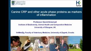 Canine CRP and Other Acute Phase Proteins as Markers of Inflammation [upl. by Eisen]