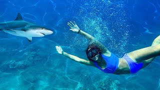 SWiMMiNG WiTH SHARKS LiLEES BiRTHDAY WISH GONE WRONG🦈😱 [upl. by Prisilla]