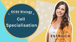 Cell Specilisation GCSE BIOLOGY Learn the structure and function of plant and animal cells [upl. by Wilmette892]