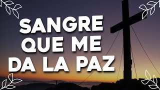 Sangre Que Me Da La Paz ✟ Musica Cristiana de Adoracion  Alabanzas Cristianas  Himnos y Coros [upl. by Hamian]