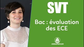 Bac de SVT  les ECE  SVT  Terminale  Les Bons Profs [upl. by Marijo]