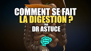 🔴 La Physiologie Digestive Expliquée Très Clairement par Dr Astuce [upl. by Arrak573]