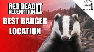 Red Dead Online Badger Location  Daily Challenge RDR2 [upl. by Anwahsar]