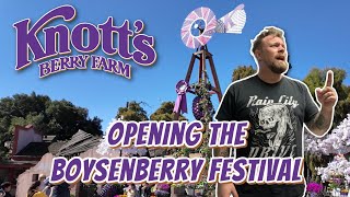 BOYSENBERRY FESTIVAL The hunt for food [upl. by Haggerty]