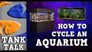 HOW TO CYCLE AN AQUARIUM TANK TALK Presented by KGTropicals [upl. by Tutto]