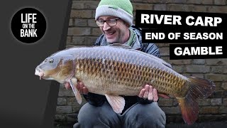 RIVER CARP FISHING  End of Winter Campaign [upl. by Westfall]