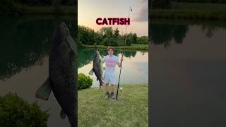 WHAT To Use To Catch Catfish 🎣 shorts fishing [upl. by Aicenav454]