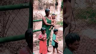 natures gift  Kaveri Nisargadhama  Bamboo Parkytviral ytshorts nisargadhama trending fypyt [upl. by Burrows]